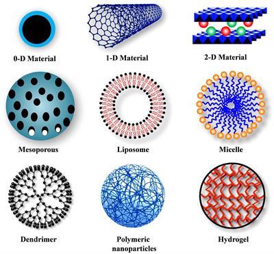 Targeted Drug Delivery Systems for Kidney Diseases